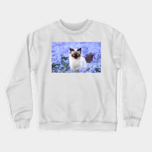 Siamese Cat Digital Painting Crewneck Sweatshirt